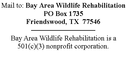 Text Box: Mail to: Bay Area Wildlife RehabilitationPO Box 1735Friendswood, TX  77546Bay Area Wildlife Rehabilitation is a 501(c)(3) nonprofit corporation.